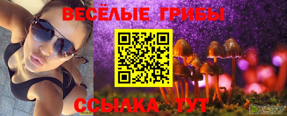 Галлюциногенные грибы мицелий  Вход с VPN  Воскресенск 